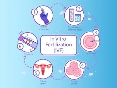 understanding IVF pregnancy