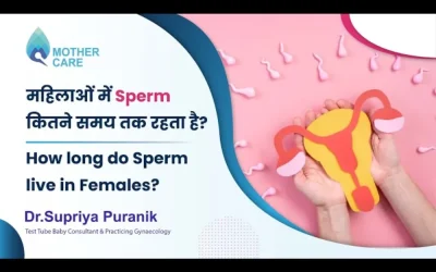 How long do Sperm live in Females?