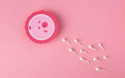What do You Need to Know About the IUI Procedure?
