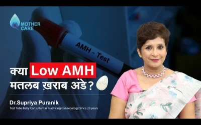 Does Low AMH Mean Poor Quality Eggs?