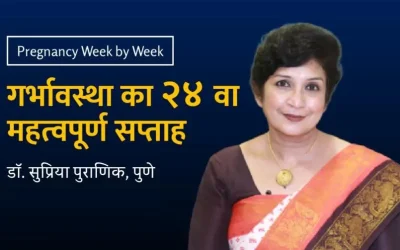 24th week – Pregnancy week by week