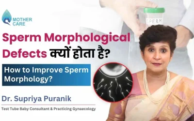 Sperm Morphological Defects: Causes and Effects