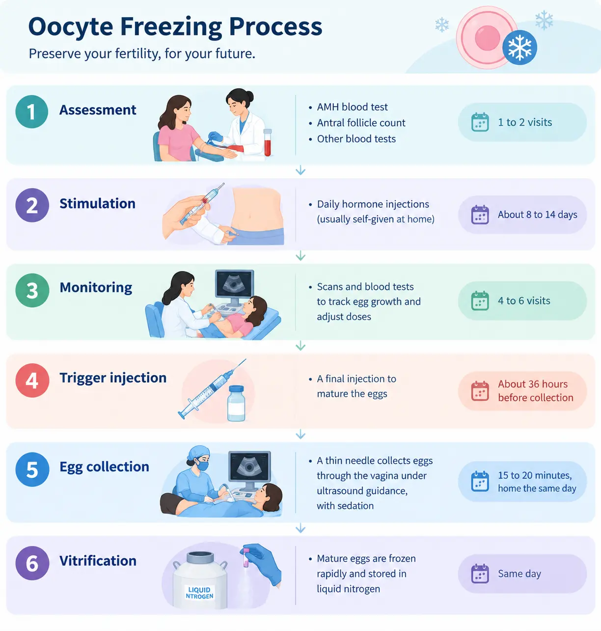 What is the egg freezing process, step by step